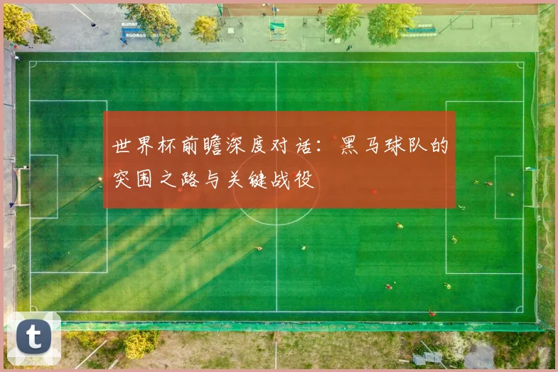 世界杯前瞻深度对话：黑马球队的突围之路与关键战役